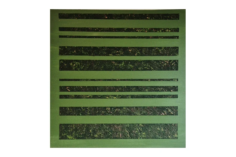 Moss Signal