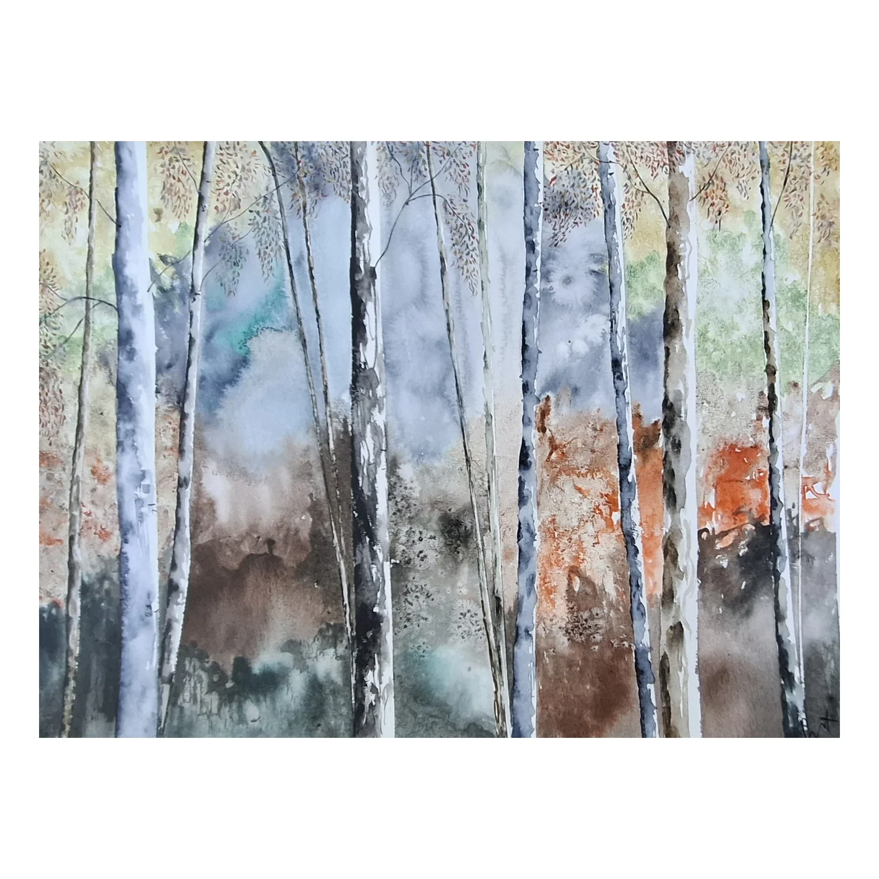 Myrtle Forest