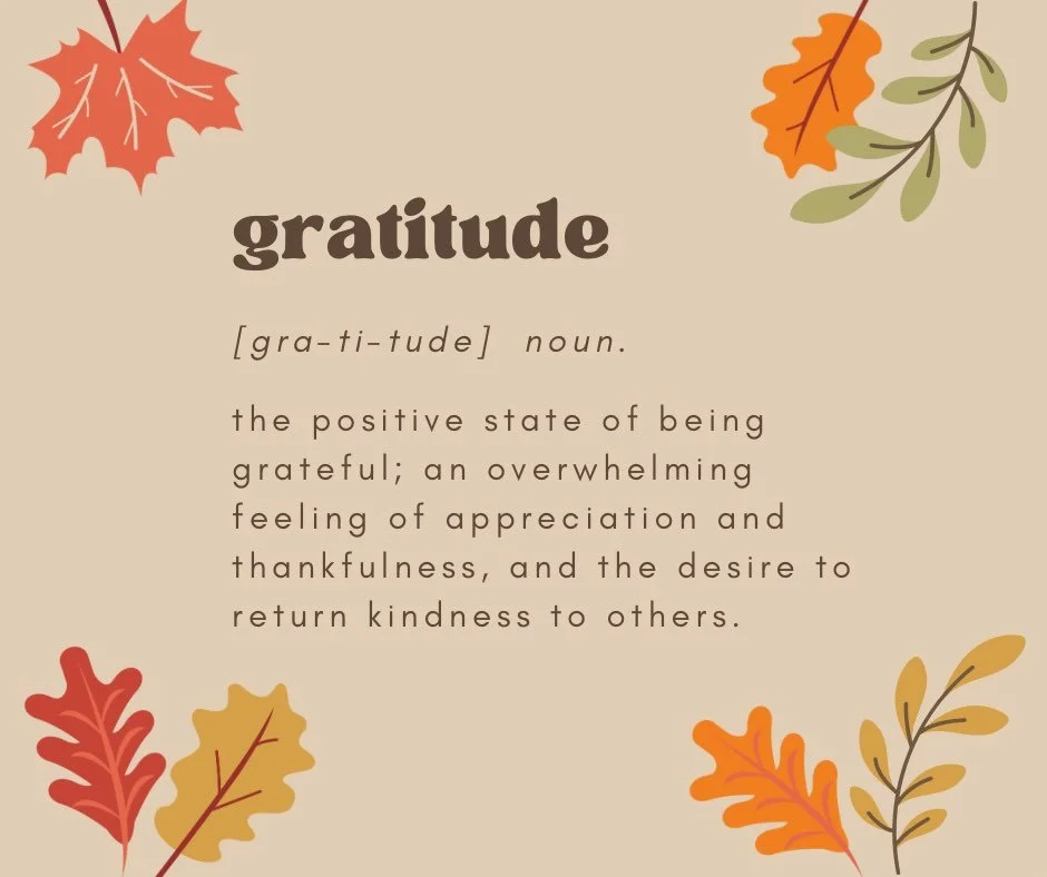 It is a season where gratitude is front and center. I don&rsquo;t know about you but I truly want to have a gratitude mindset daily, not just at certain times of the year. Gratefulness can shift our day and our outlook. 😊