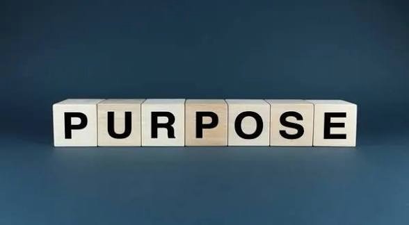 Excited to share I am now a Purpose Factor Coach. A valuable tool to help Individuals and Teams move forward with Purpose and Clarity. Because when purpose is defined, everything shifts.

✨ Decisions become easier
✨ Communication becomes clearer
✨ Co