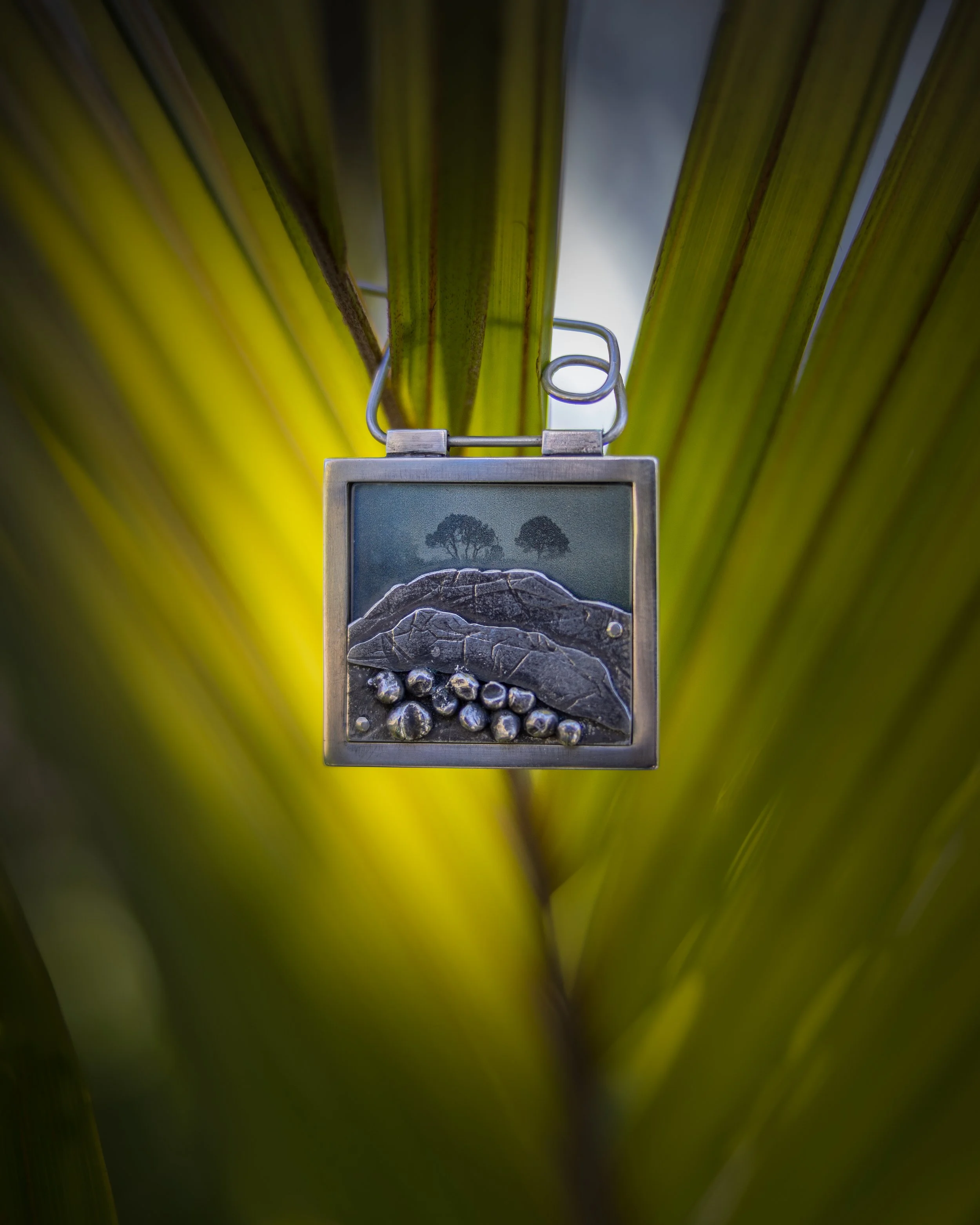 TW_24-10-2024_6419-Edit copy.jpg