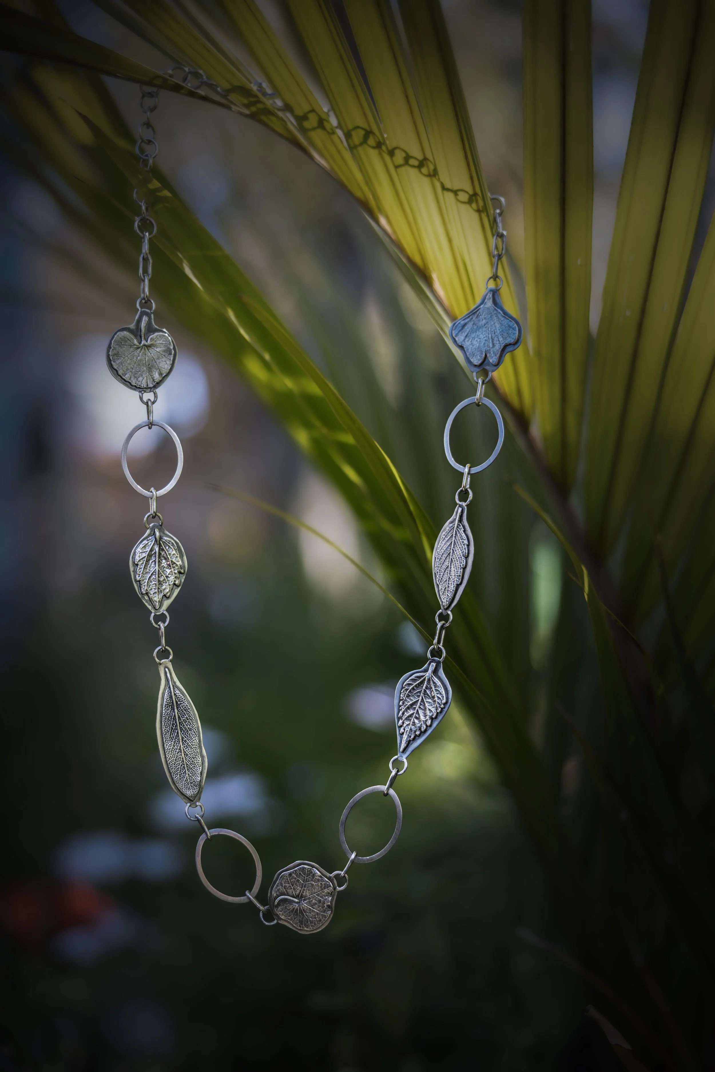 TW_24-10-2024_6429-Edit copy.jpg