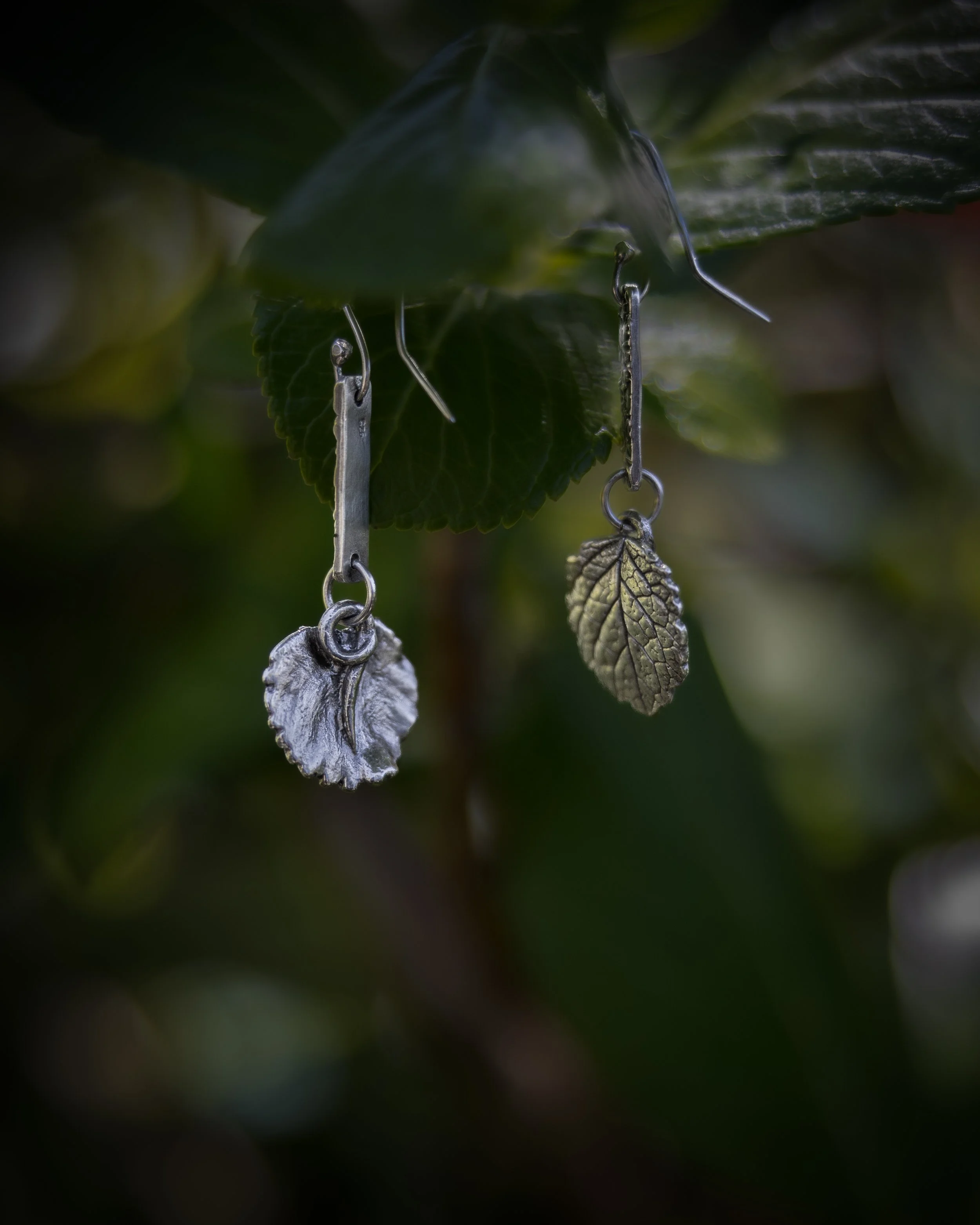 TW_24-10-2024_6368-Edit copy.jpg