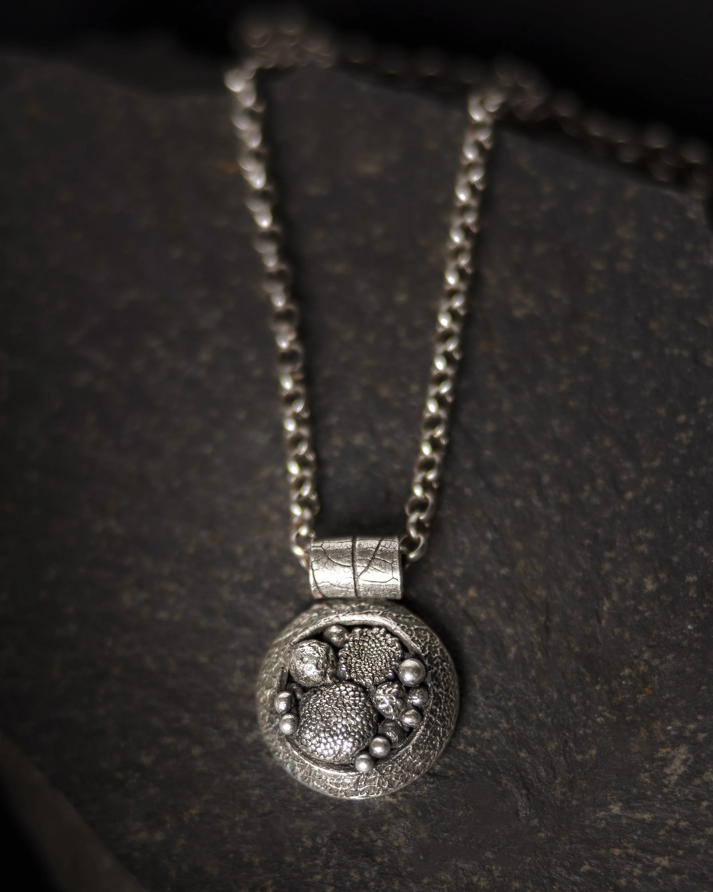 Exploding seed pod update.jpg