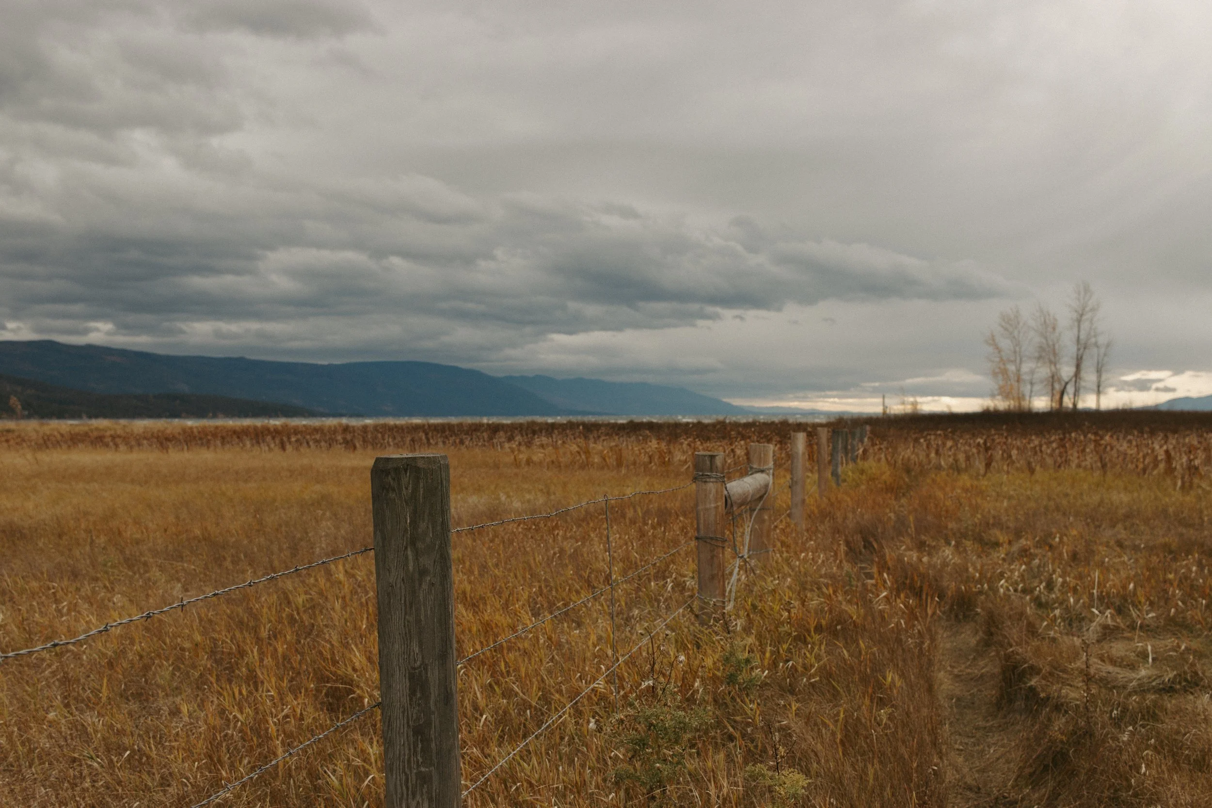 north shore of flathead lake in the fall