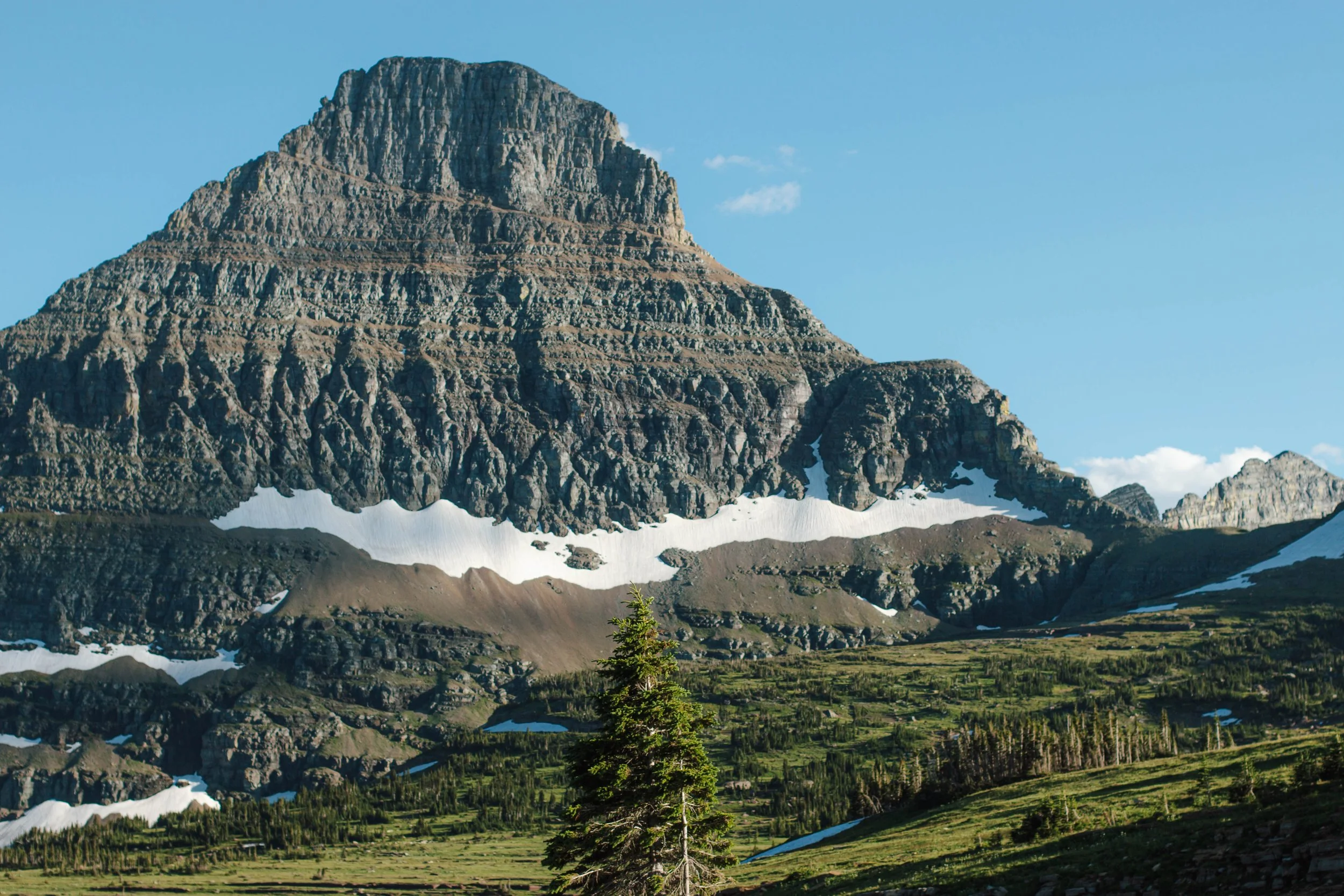 rocky mountain with snow and trees in glacier national park