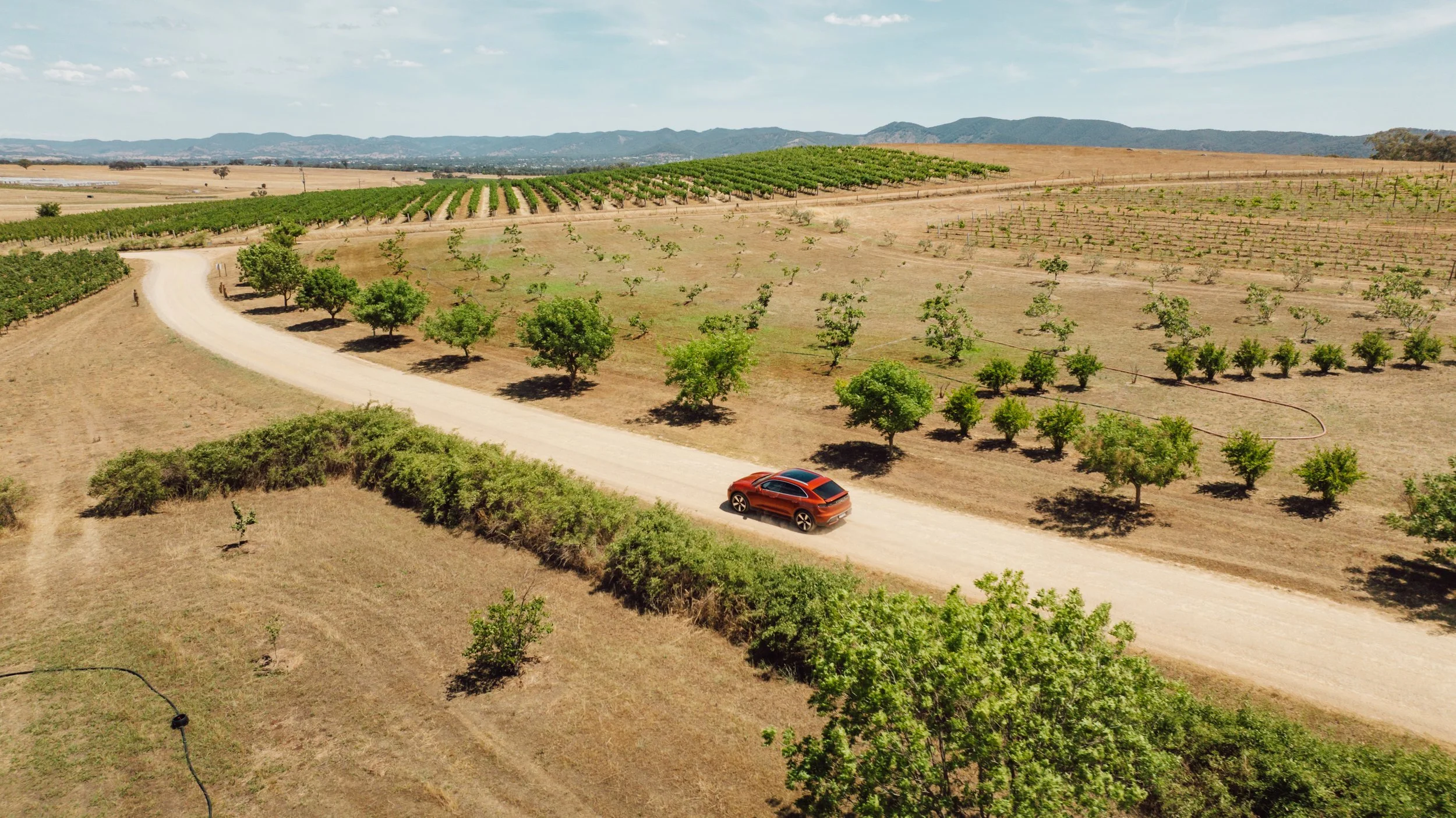 DJI_0083.jpg