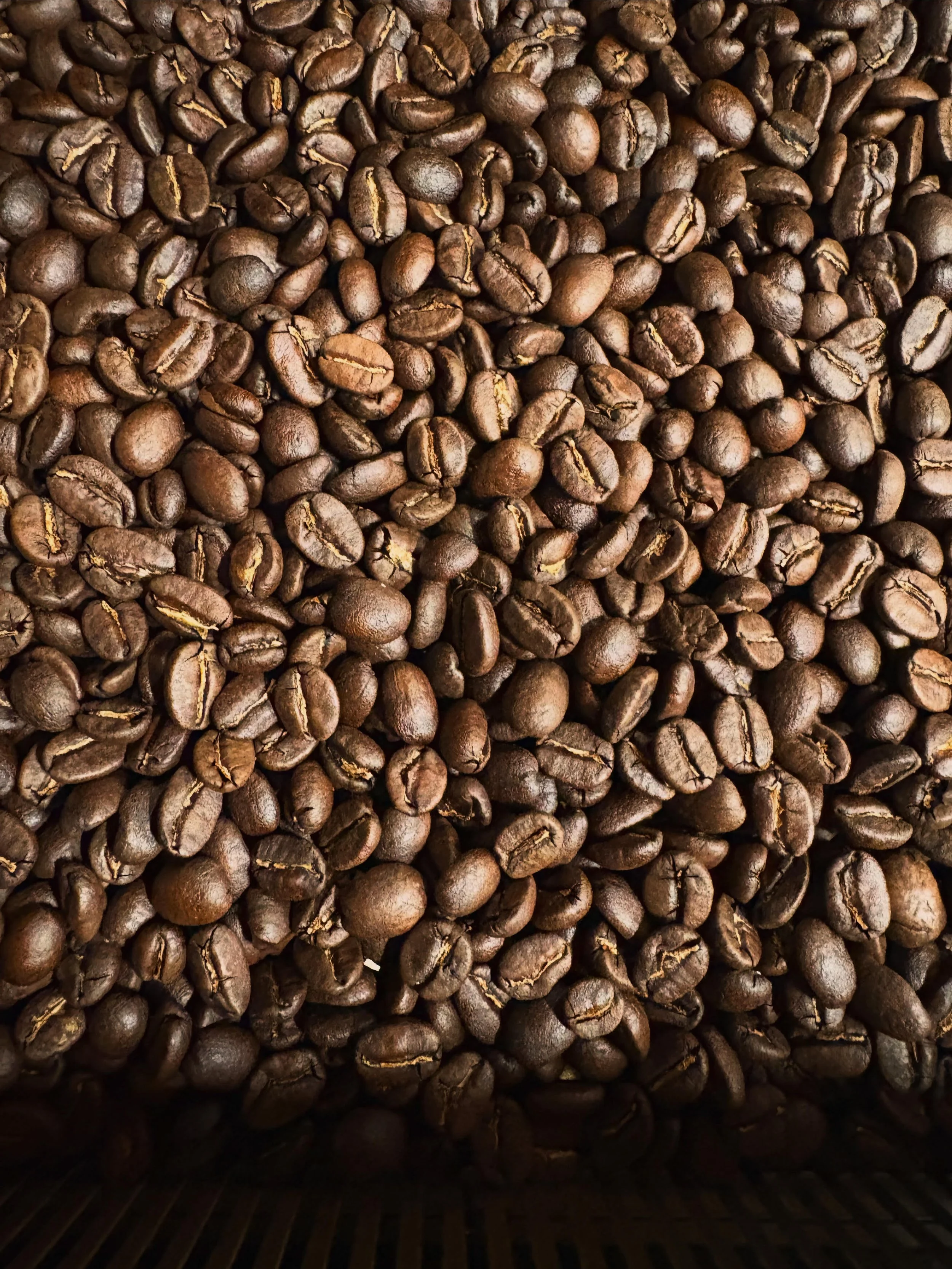 defining parliament roasting