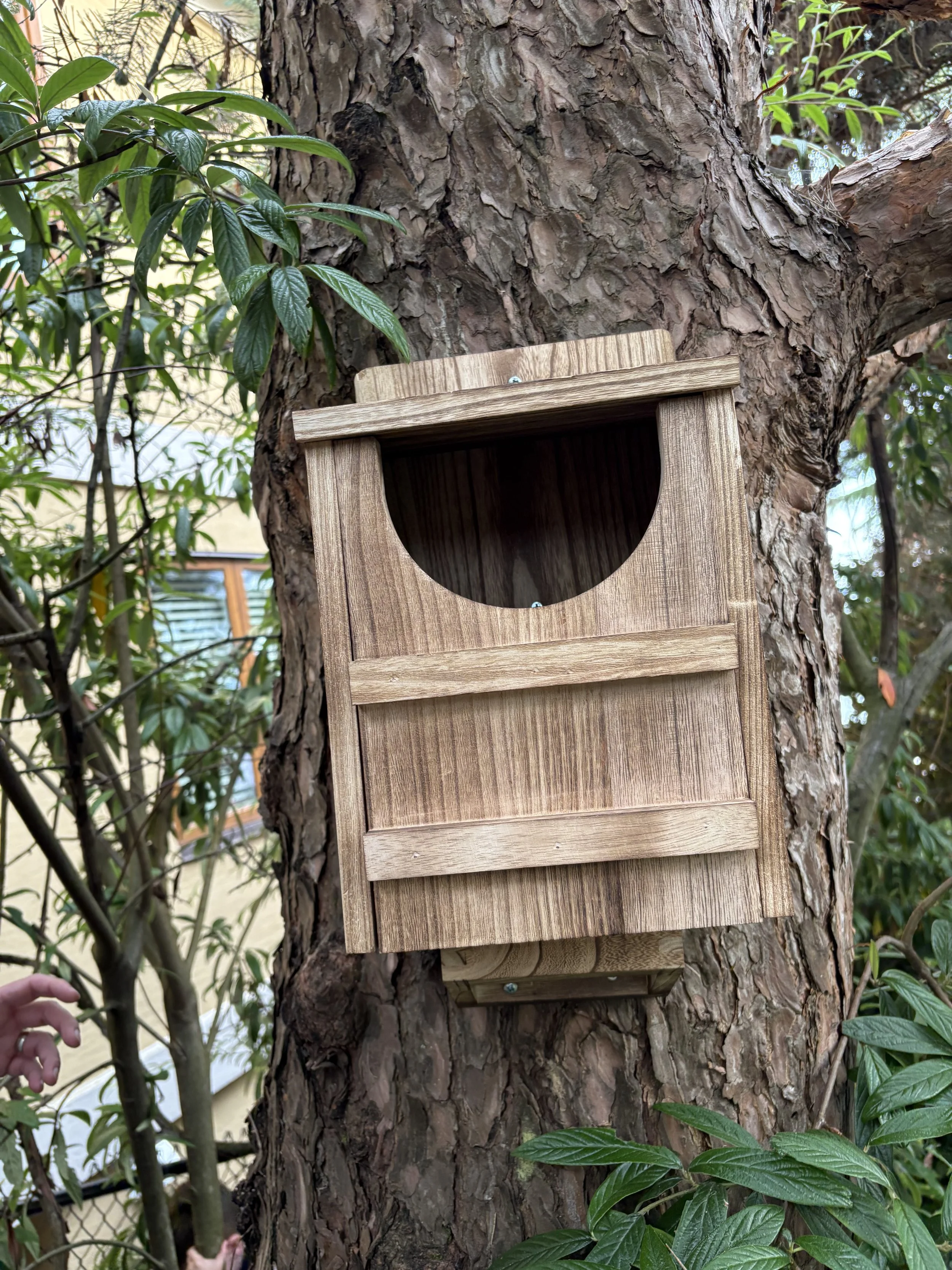 build your own owl box