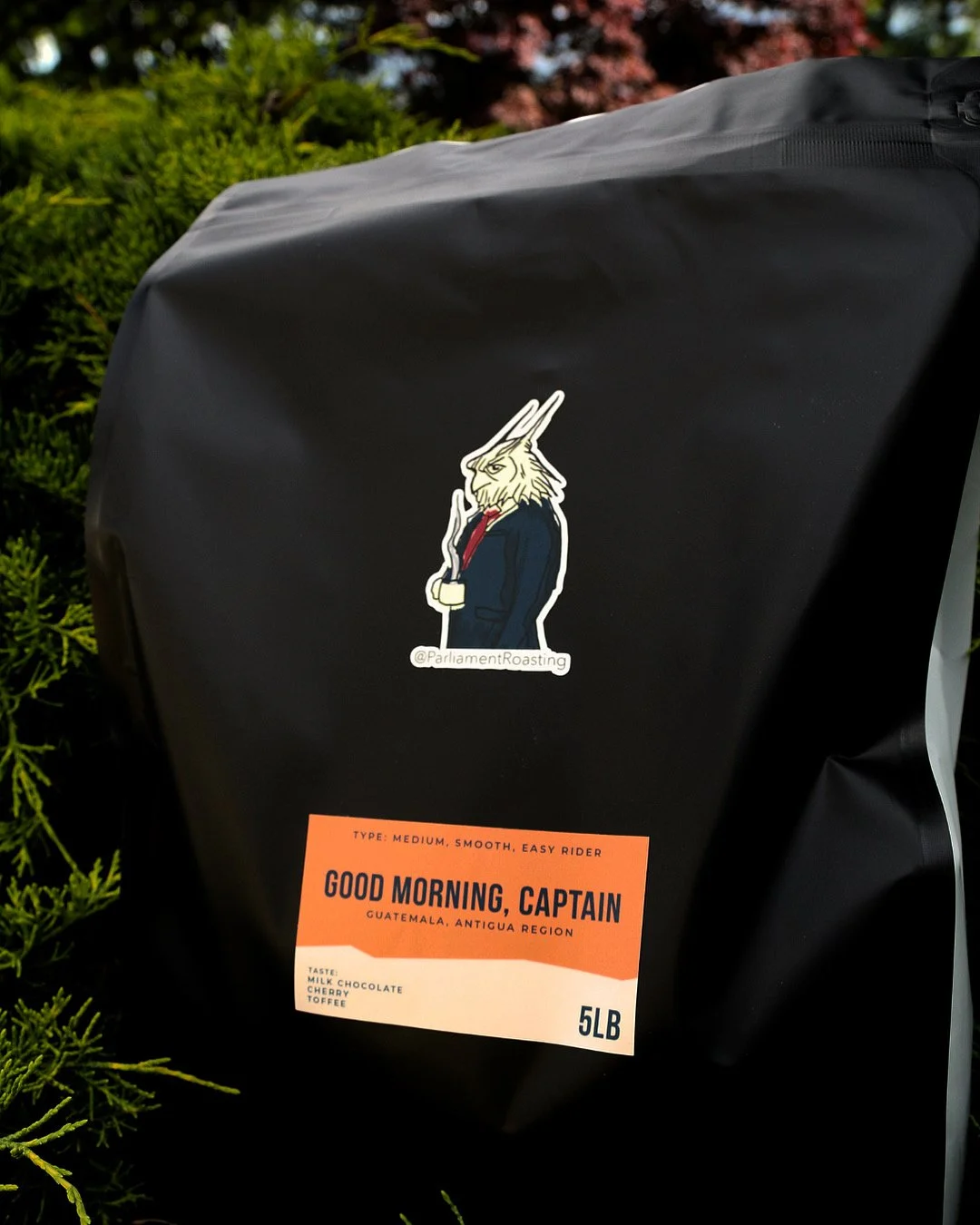 announcing our wholesale partnership program