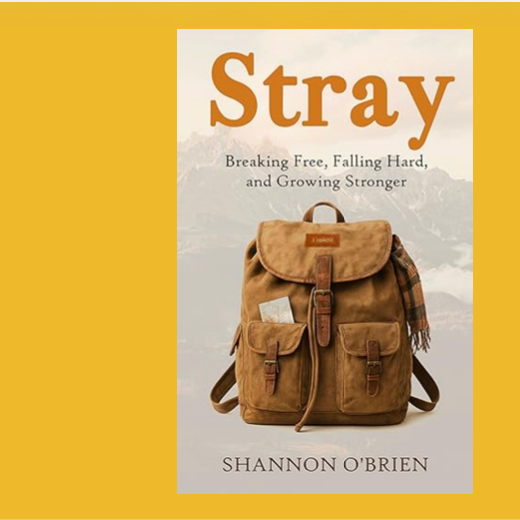 Book Club Discussion Guide