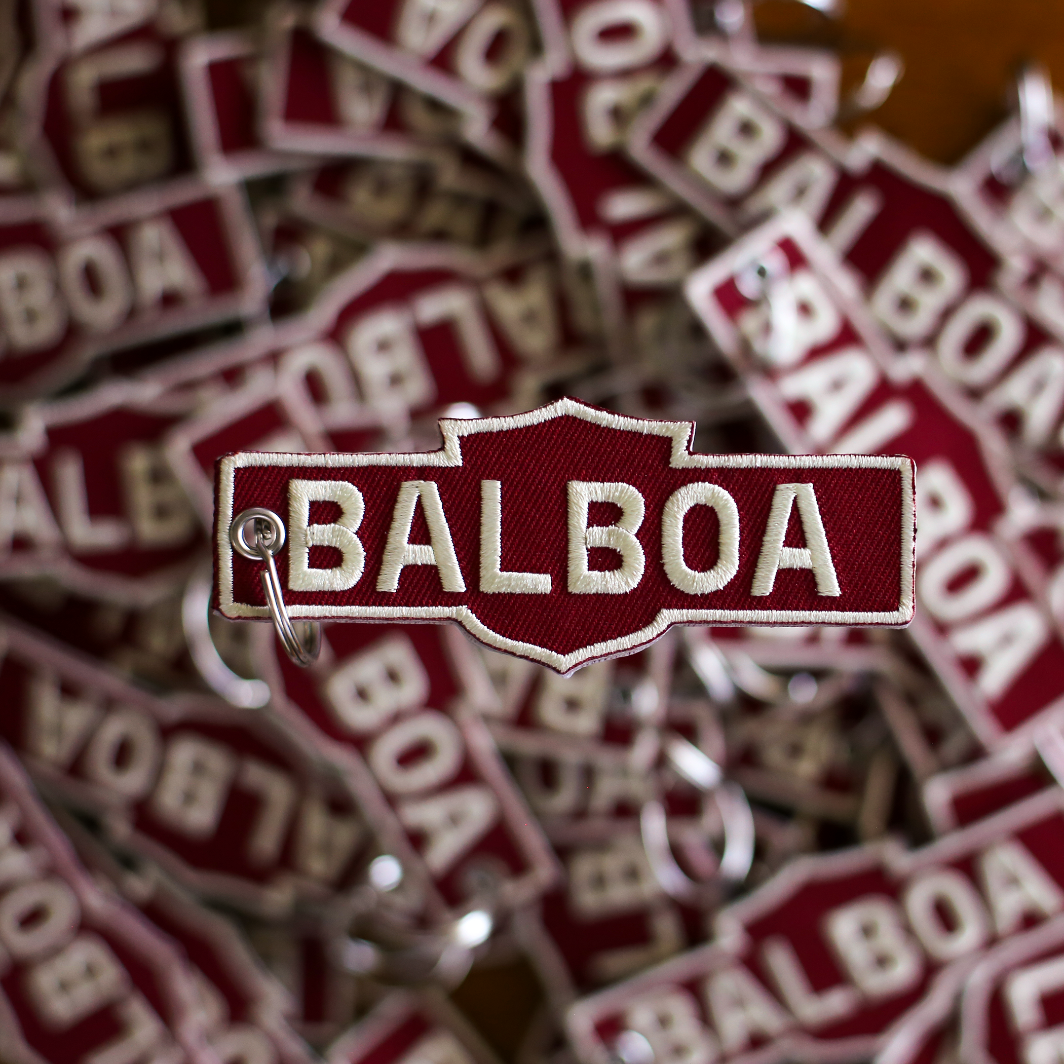 Keychain_Balboa_CU_IMG_6410_Crop_01.png
