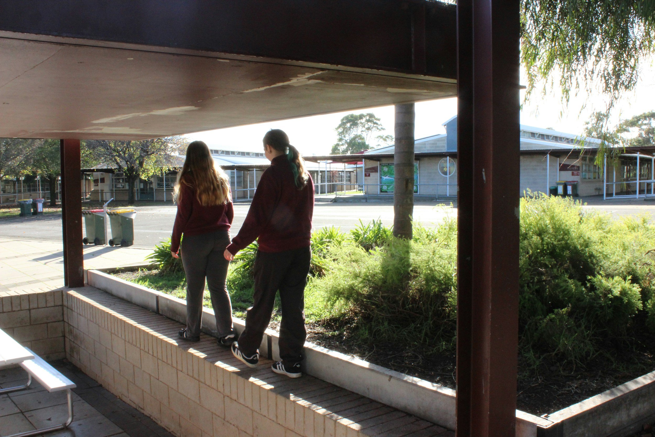 School & Education Landscape Design