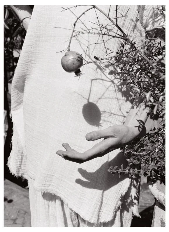 The Spleen in Chinese Medicine: A Guide&nbsp;