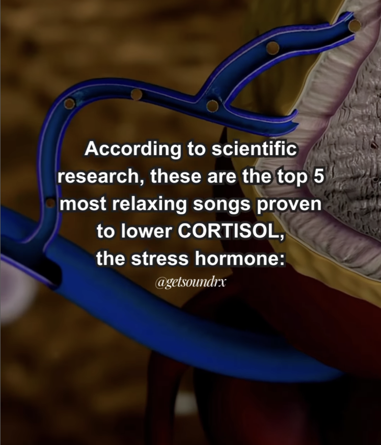 image (72).png