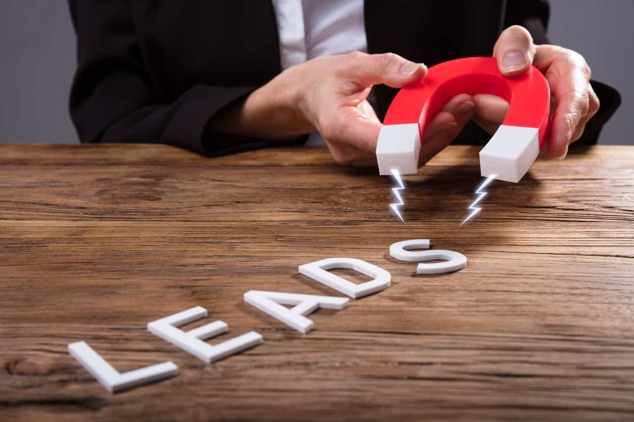 Develop Lead Magnet Content