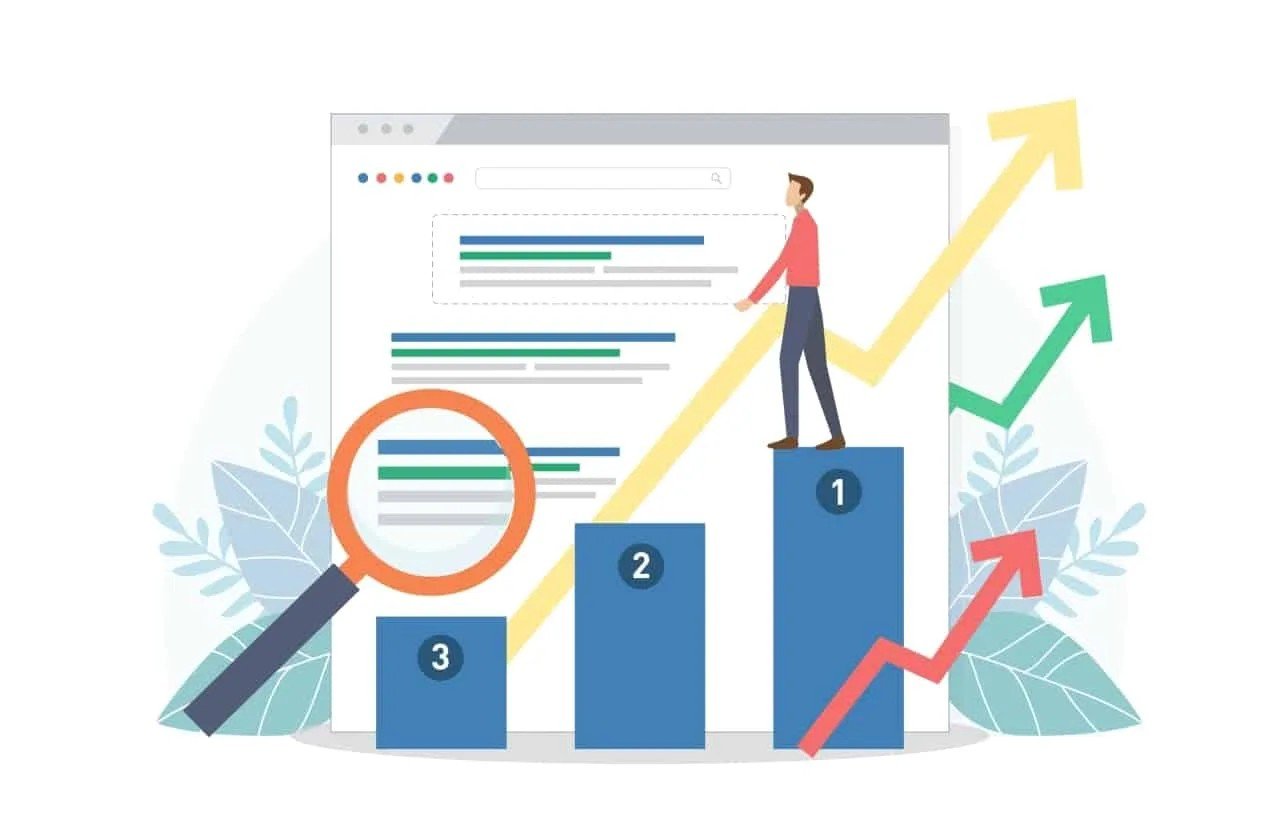 Large SEO Plan