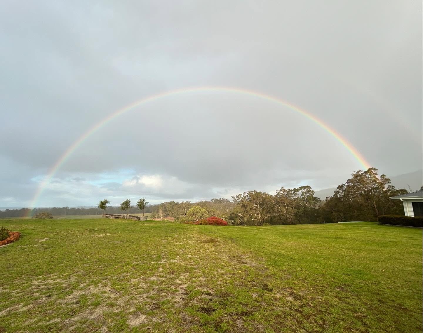 Some of that Great Southern magic 🌈

#porongurup #greatsouthernwa