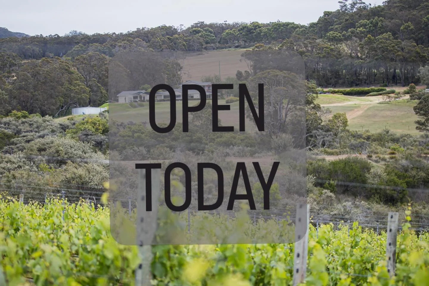 ☀️OPEN TODAY ☀️

We are open today for the Labour Day long weekend. 

Can&rsquo;t wait to see you in the cellar to sip some beautiful wines.