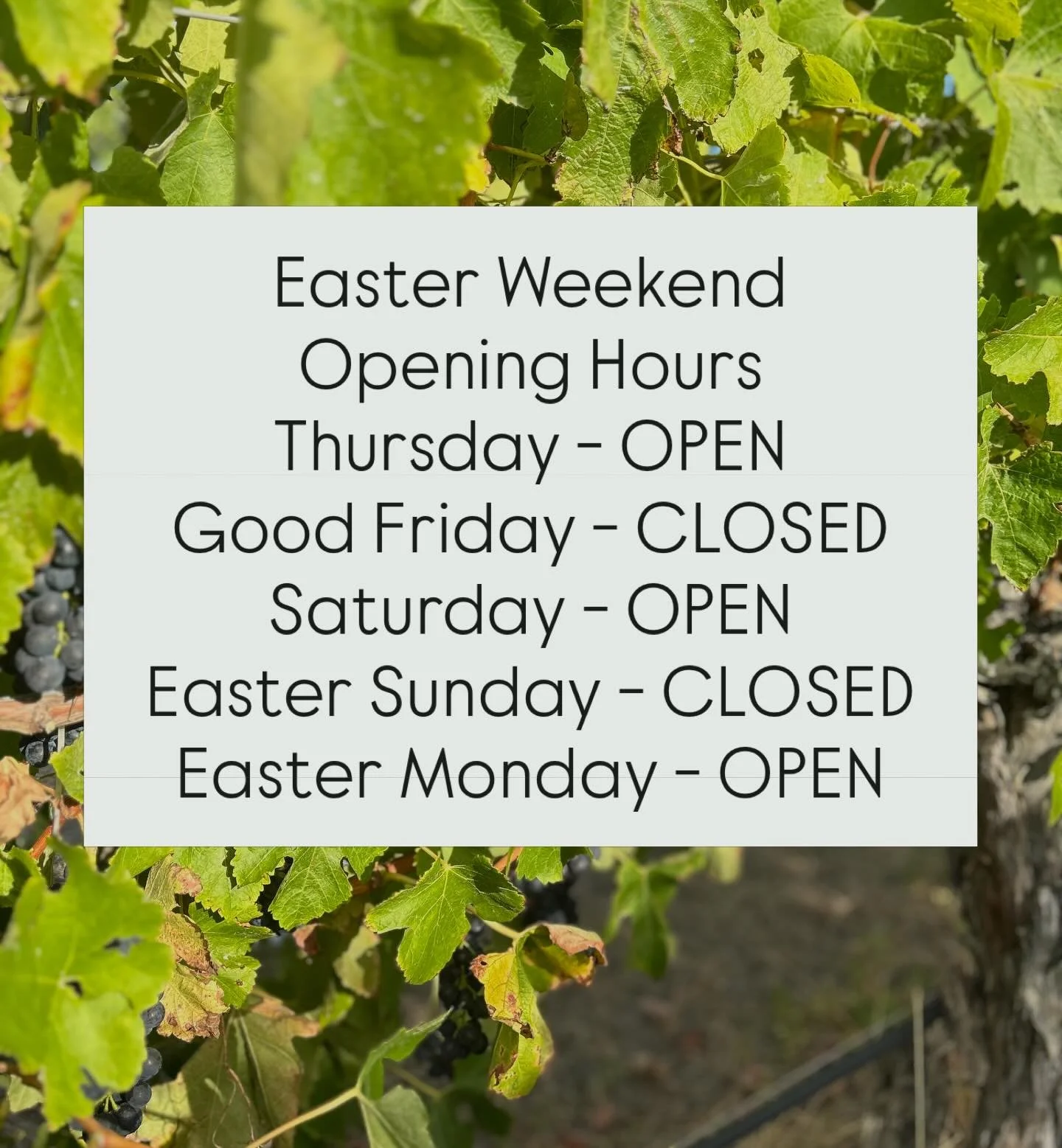 🐣 Easter Long Weekend 🐣

We are open this long weekend. We can&rsquo;t wait to share our award winning wines and world class views!
We are also focusing on family this Easter, so will be closed Good Friday and Easter Sunday. Please remember to stay