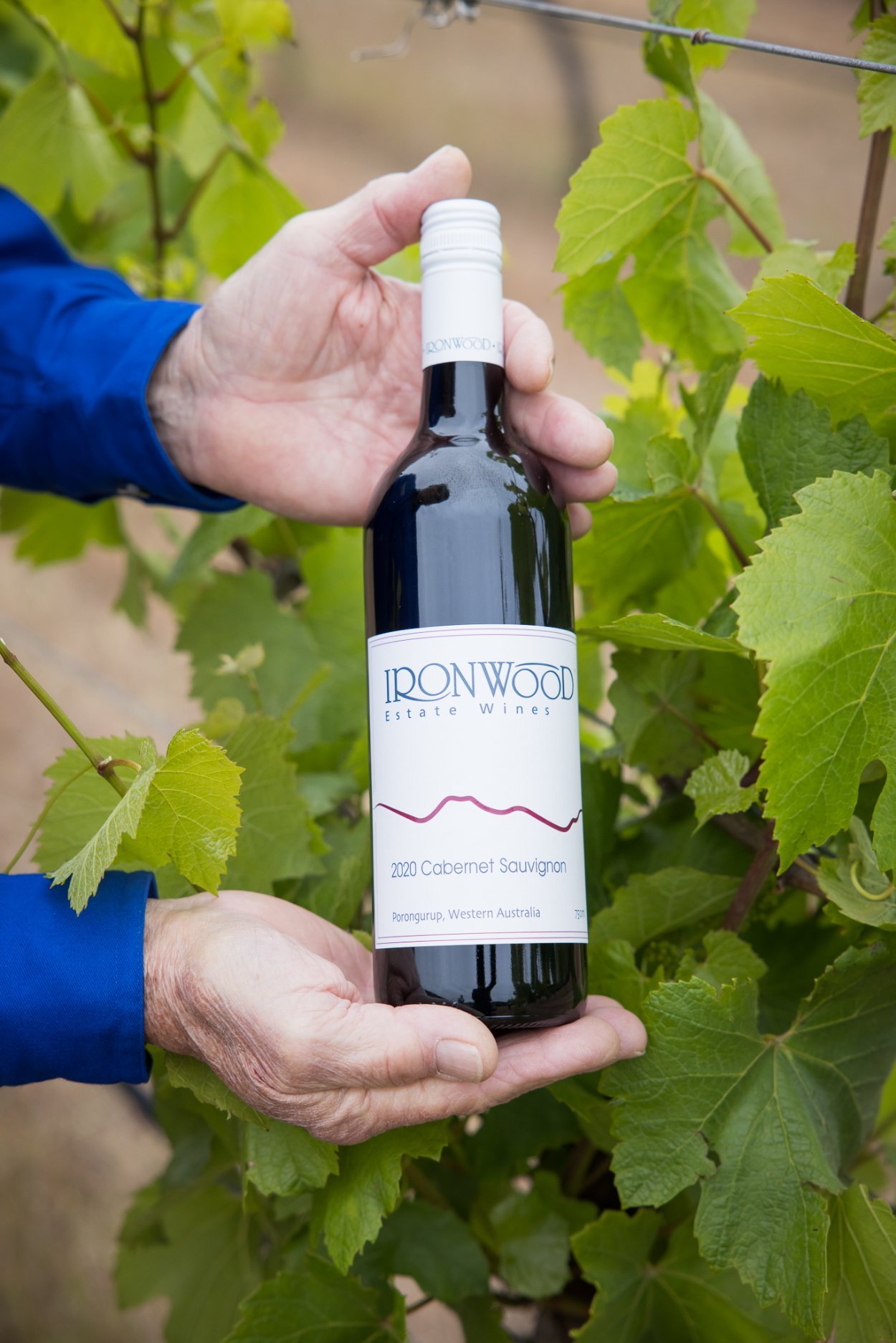 2020 Cabernet Sauvignon