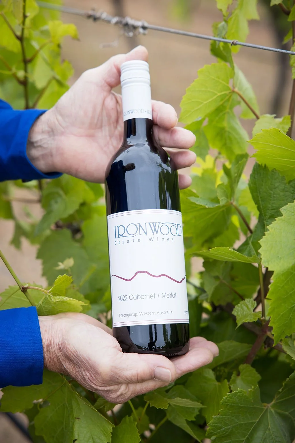 2024 Cabernet / Merlot