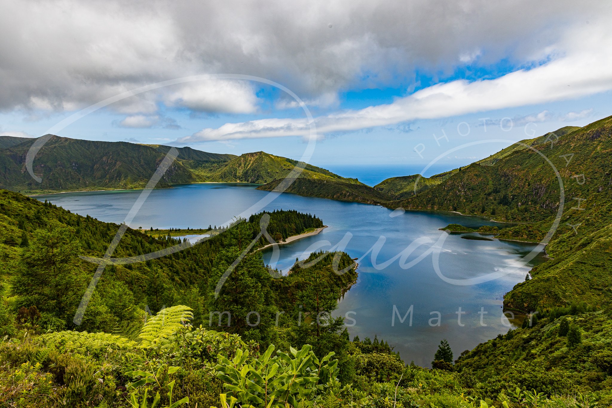 Saudade web - watermarked-2-6.jpg
