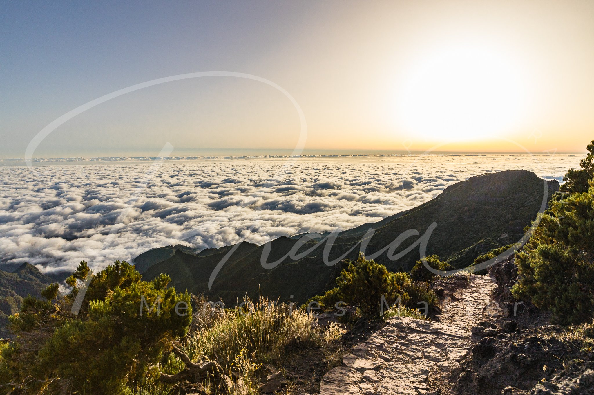 Saudade web - watermarked-2-21.jpg