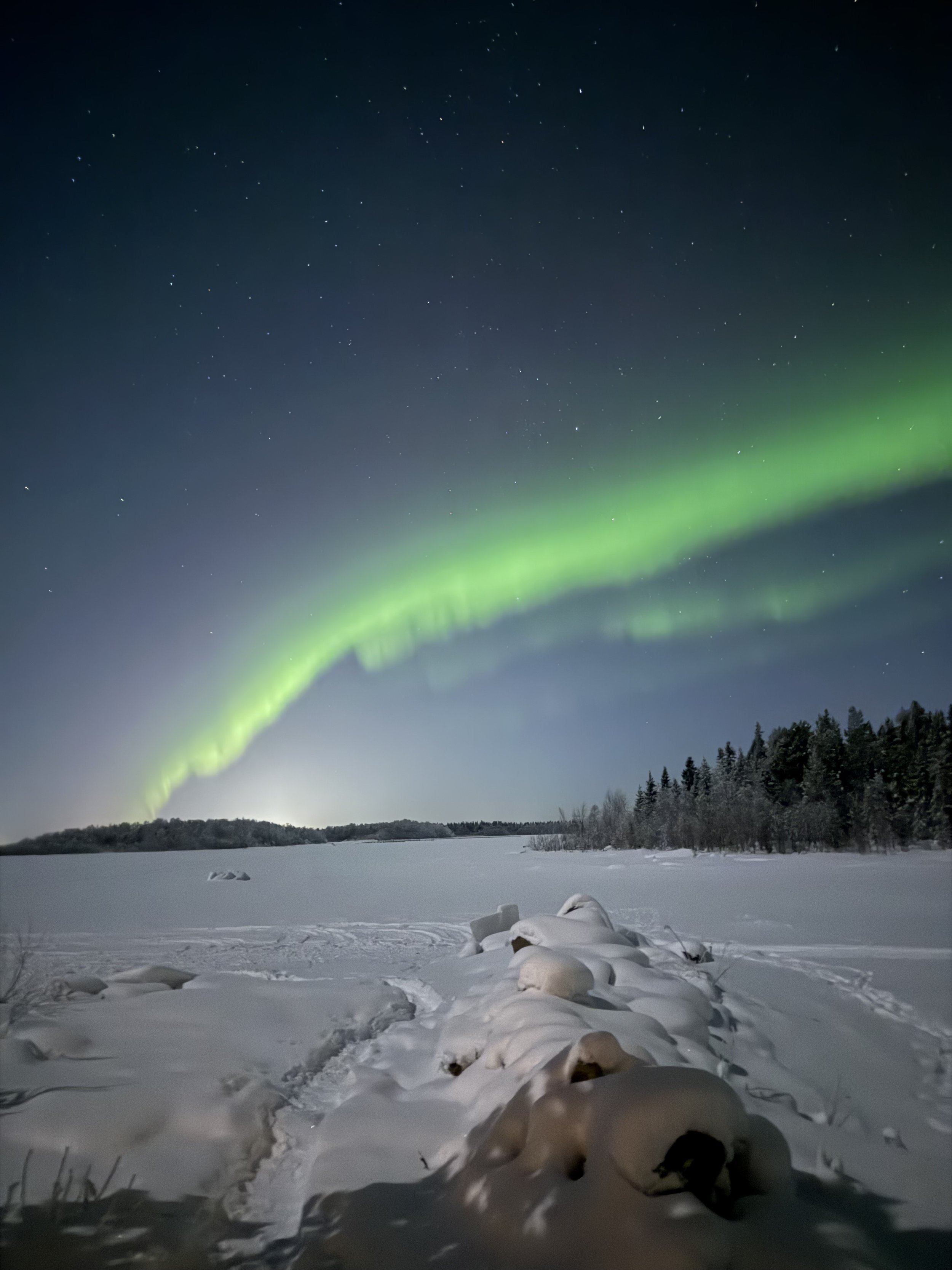 Book That Remote Cabin in Lapland!