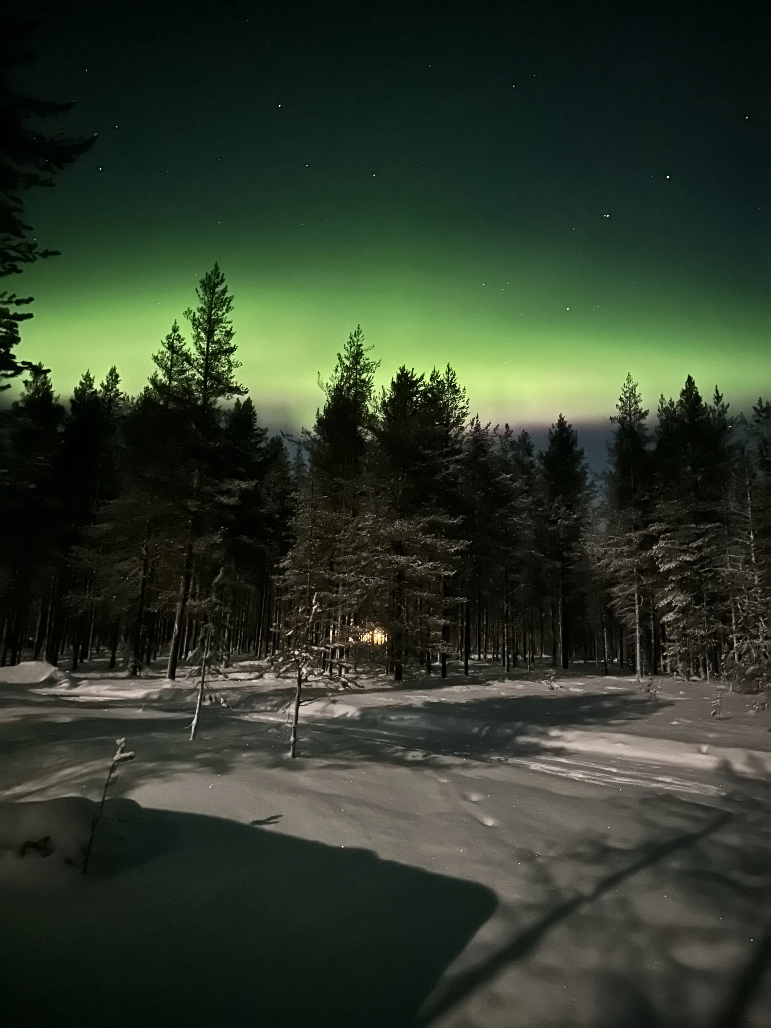 "Lapland's Postcard Says Finland. The Hands Behind It Don't.