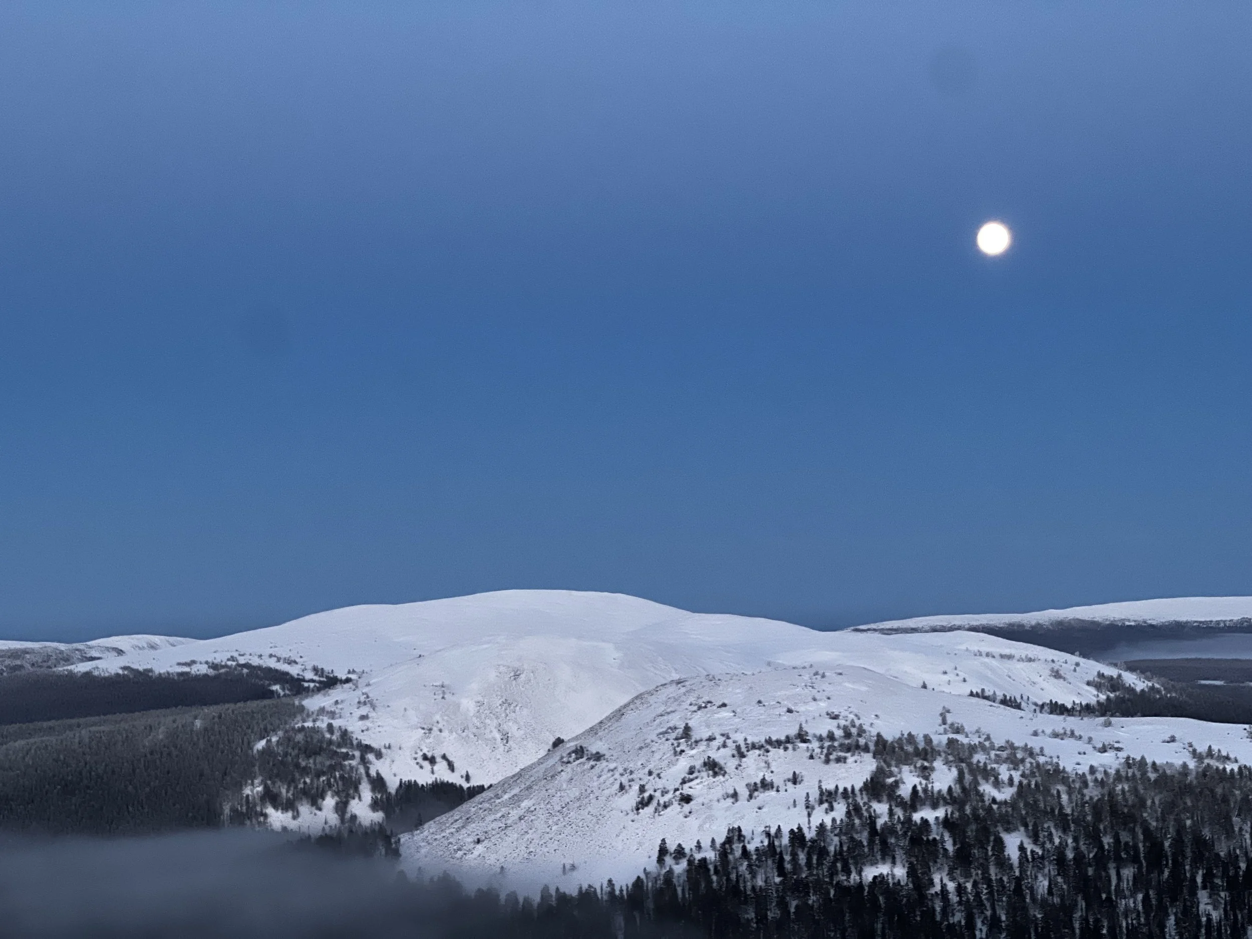 About the Quiet North  Journal