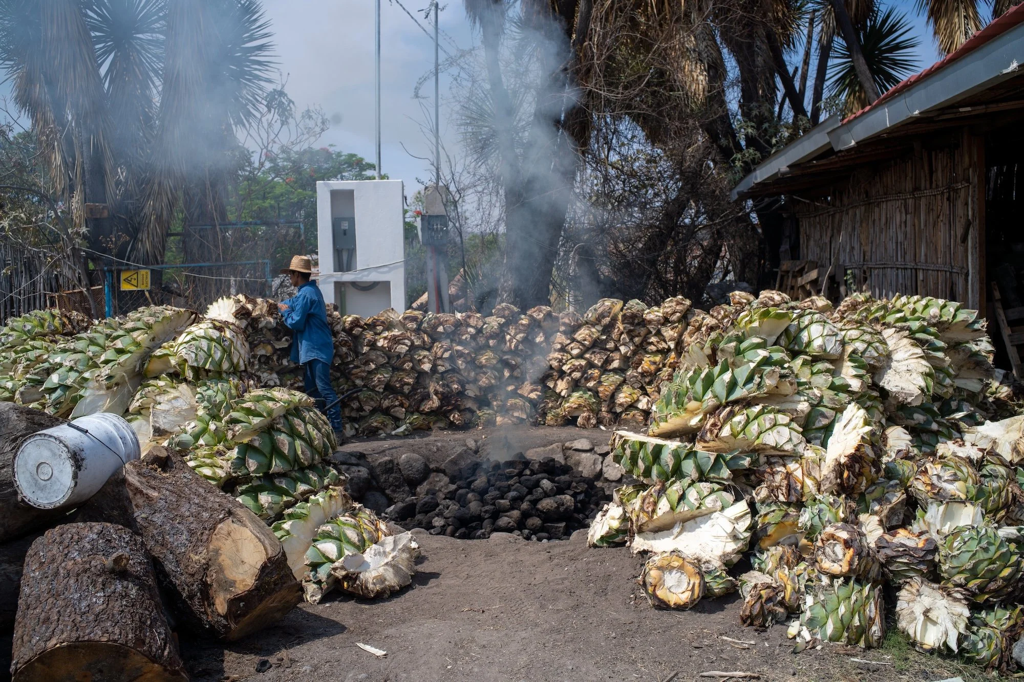 什麼是 mezcal？梅斯卡完整解析：製程、與 tequila 的差異