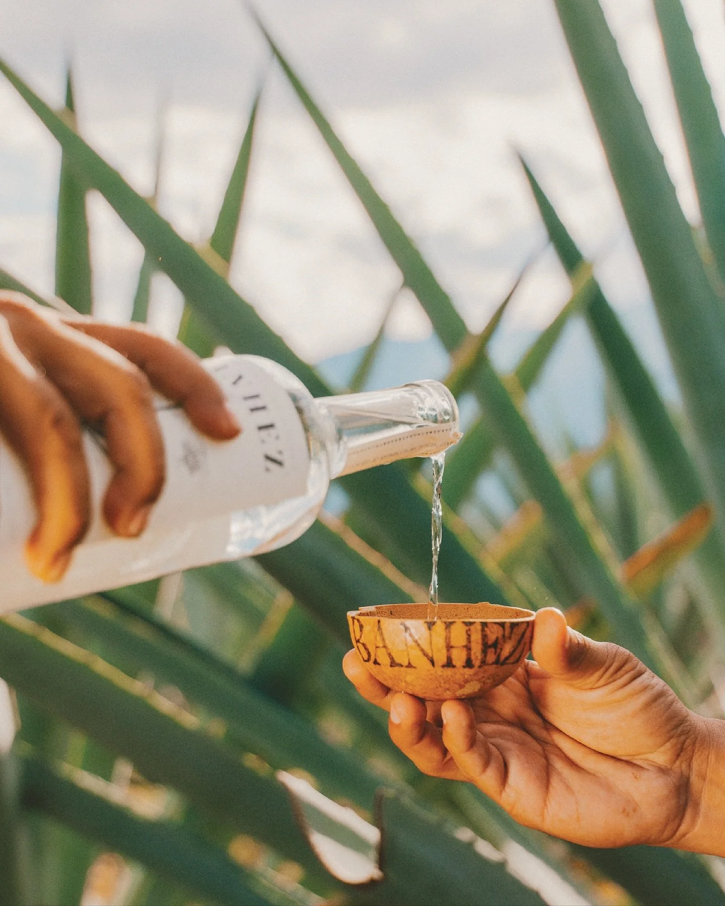 photos from @banhezmezcalartesanal