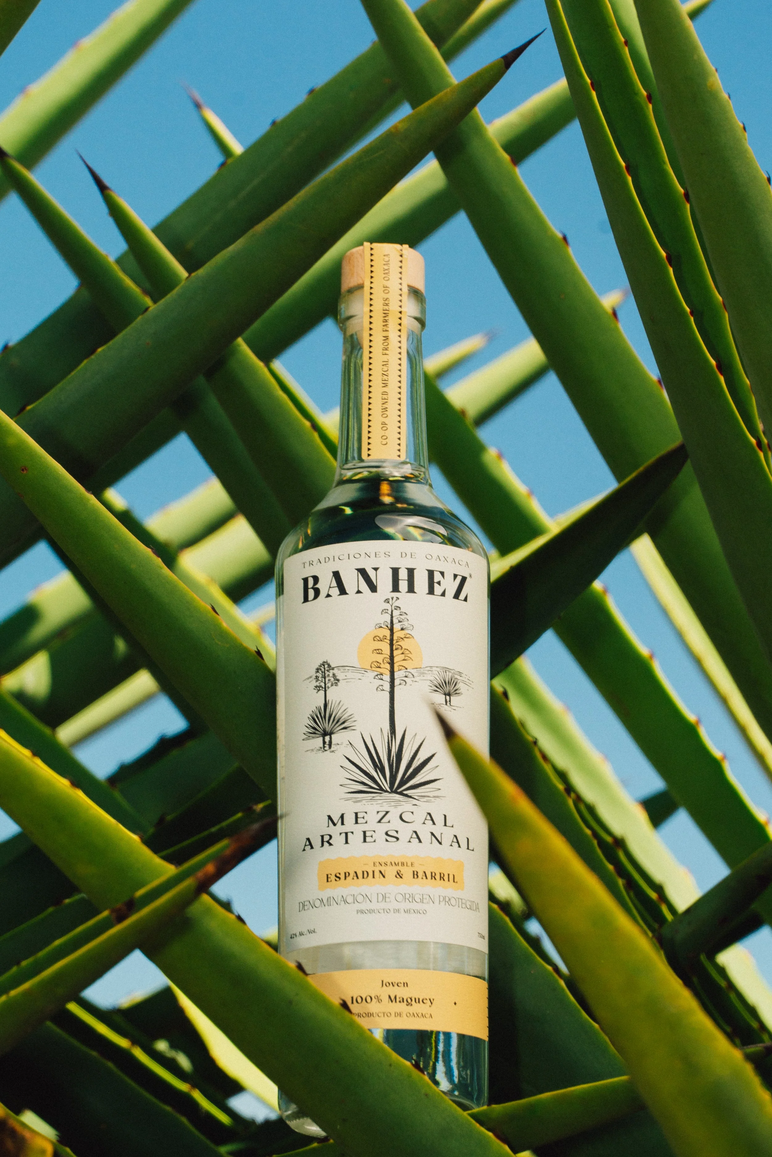 Banhez_Mayo-008.jpg