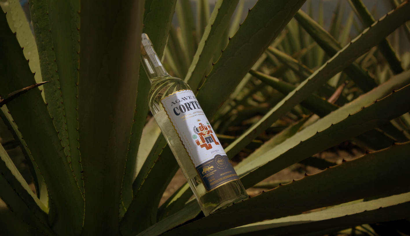 Agave de Cortés 梅斯卡 - 墨西哥瓦哈卡百年傳承梅斯卡品牌