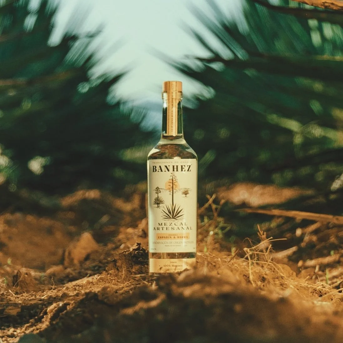 Drinking Life 喝酒生活代理 Banhez 梅斯卡 - 墨西哥瓦哈卡傳統工藝梅斯卡品牌 - Ensamble in agave field