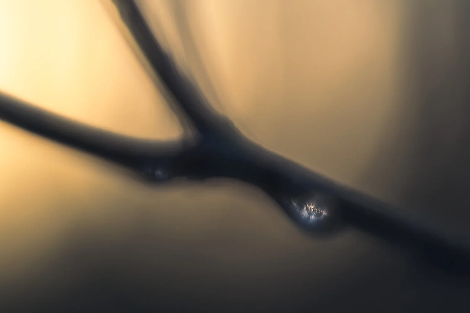 20260117-01- 0716 -Kees de Ruijter.jpg