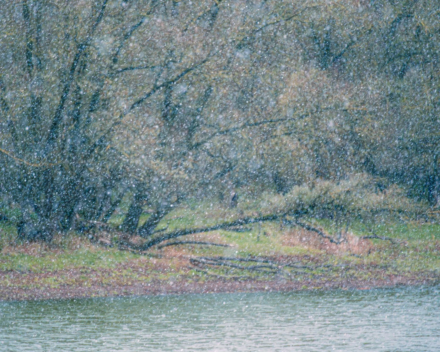 De eerste sneeuw: herfst ontmoet winter