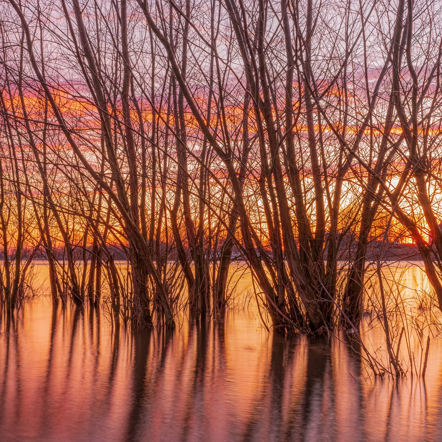 Tussen Water en Tijd 