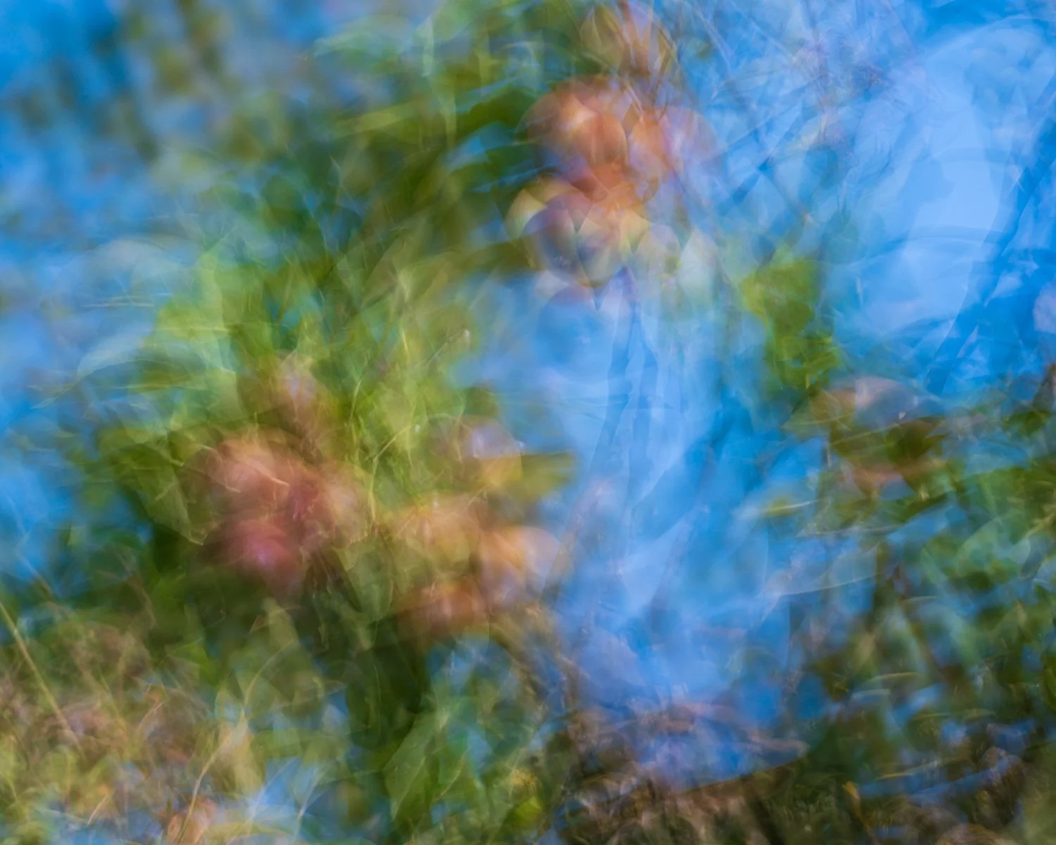 20250621-01-Kees de Ruijter.jpg