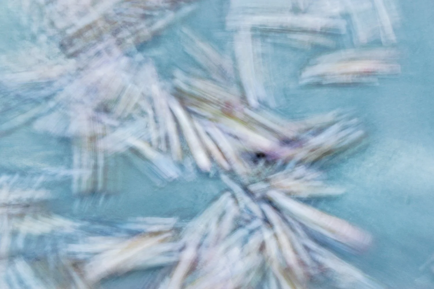 Schelpen | Terschelling ICM, Gouden- en Blauwe uur  