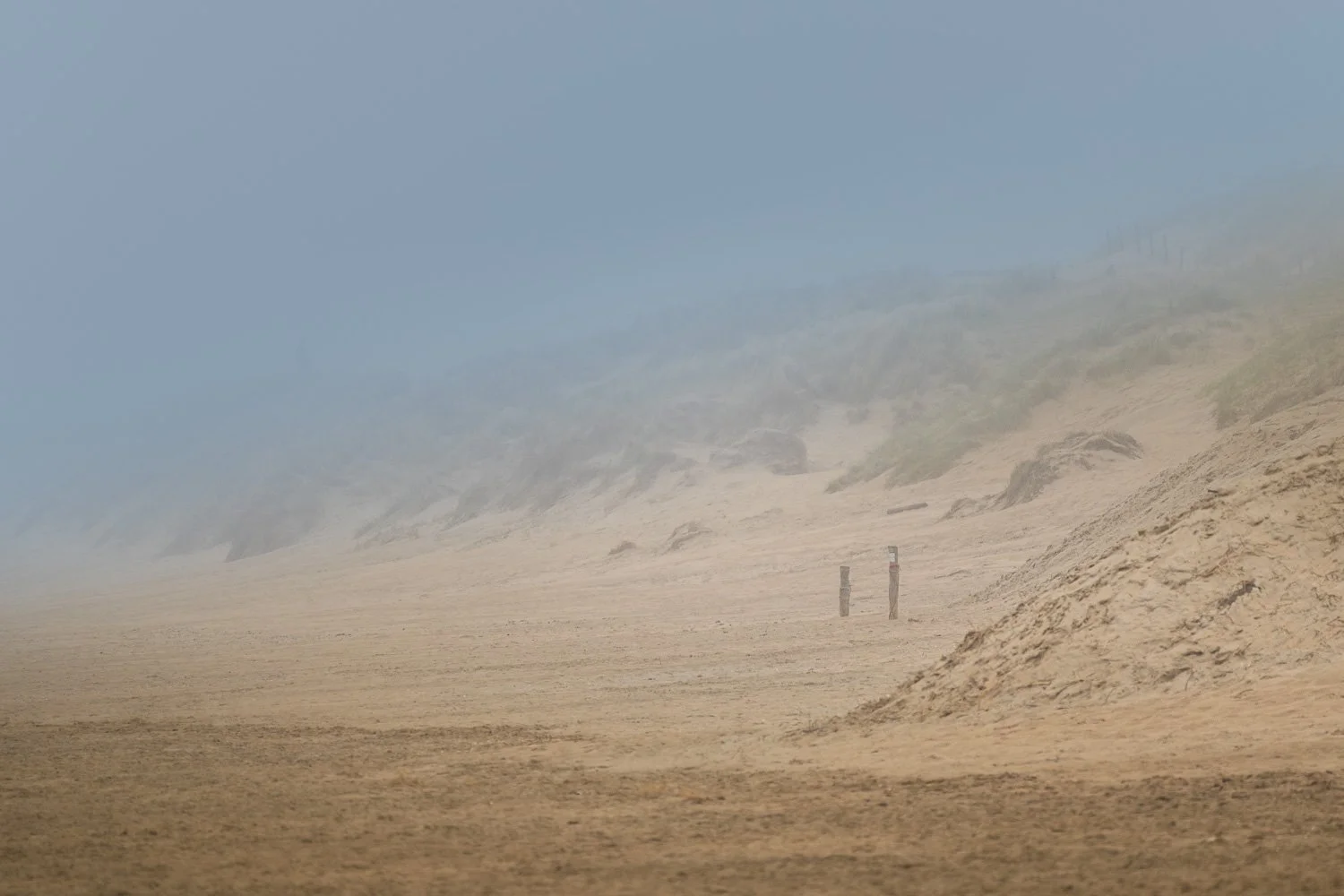 Duinen | Nederland Mist 