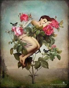 Sink into Yin & Nidra