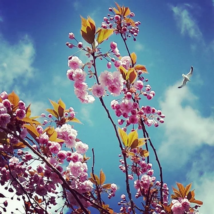 Assisted Yin workshop YogiHeroes FeelGood Festival