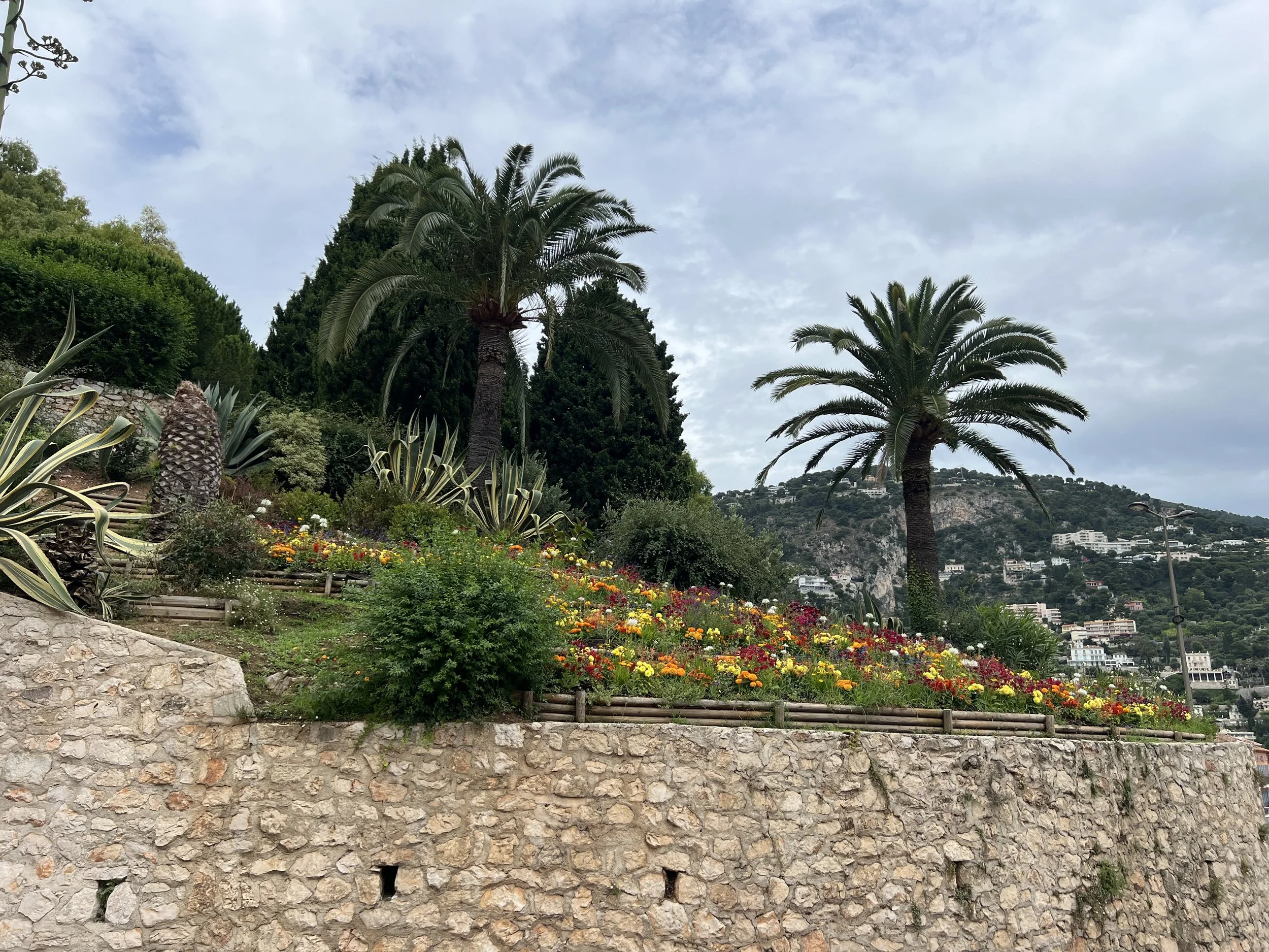 De zomer en vooruitblik op de herfst