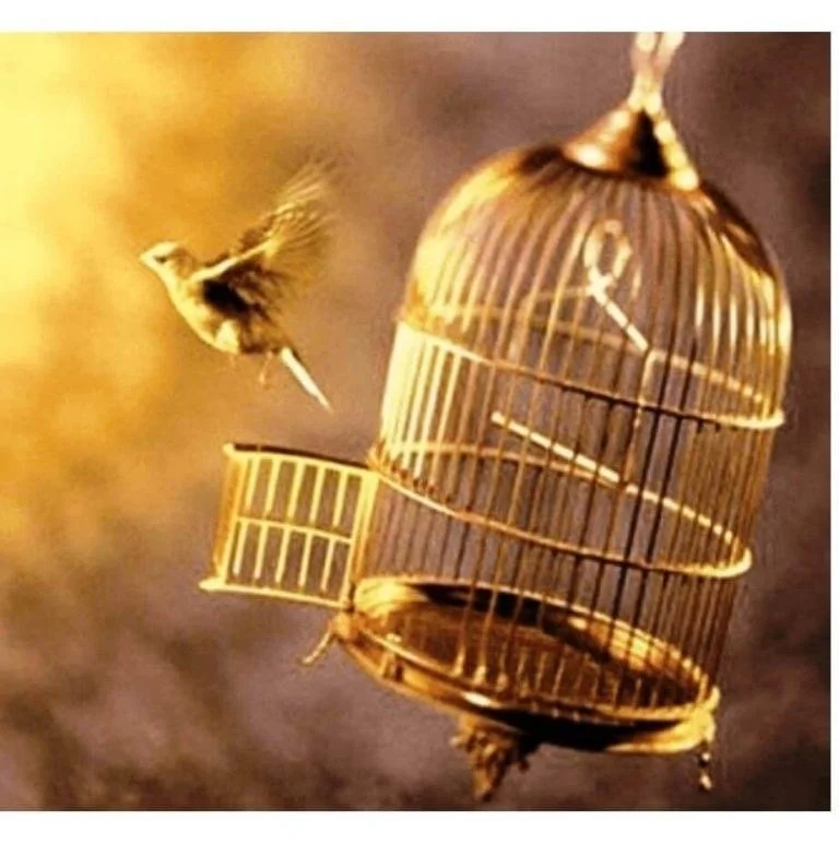 Vroege vogels welkom