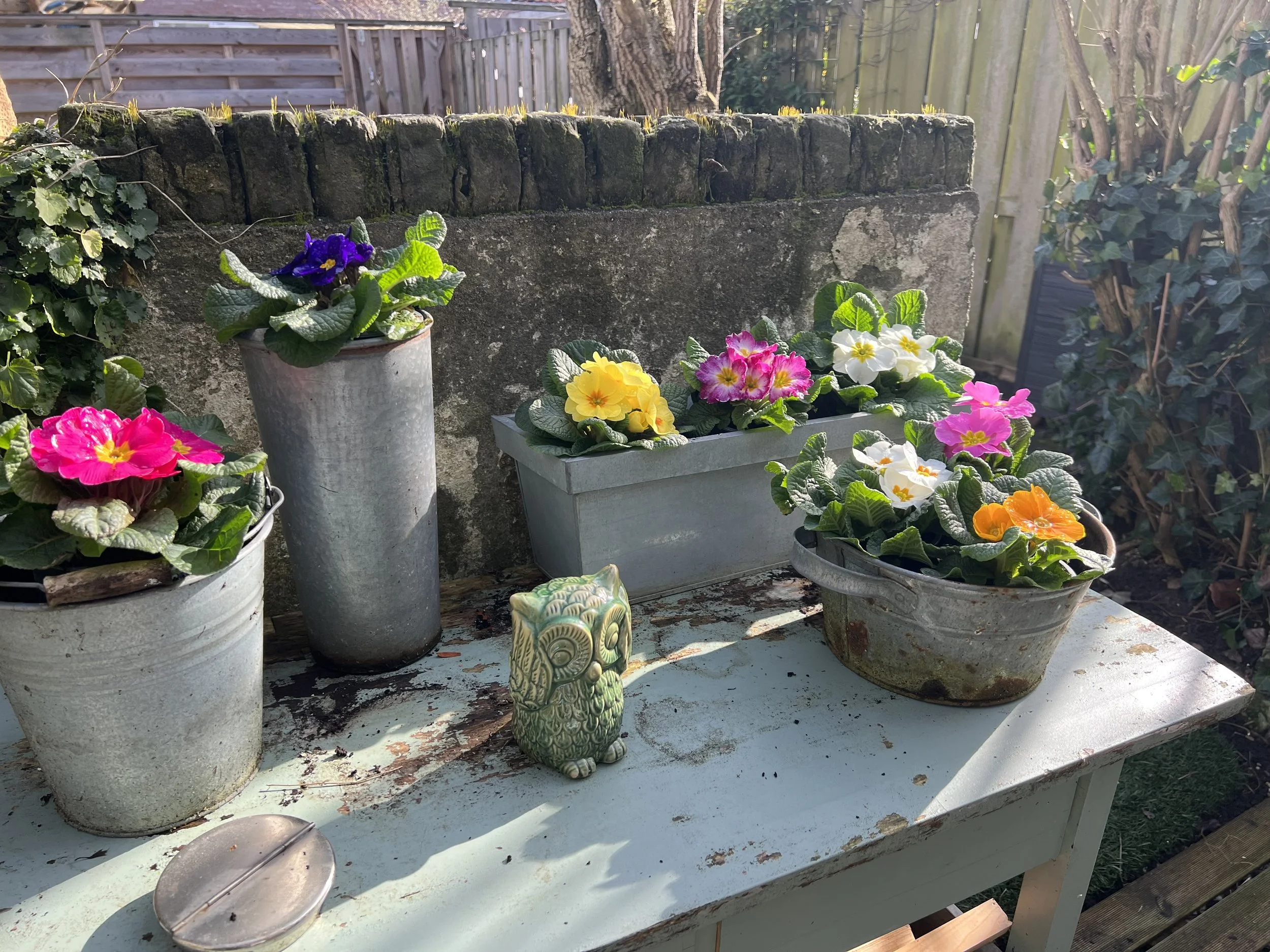 Vers seizoen, verse website