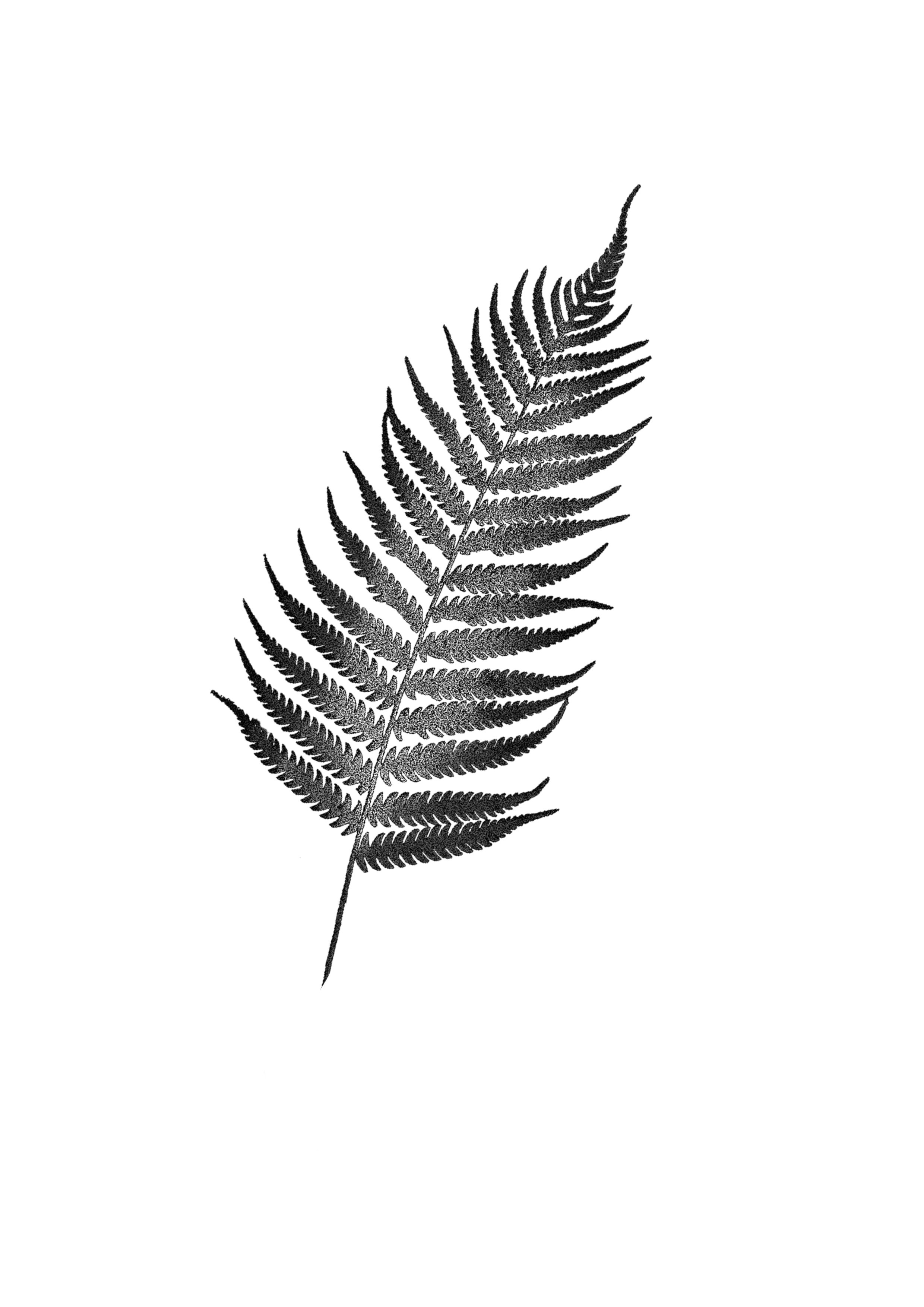 Cuba_Dupa__March_Flash 12.JPG