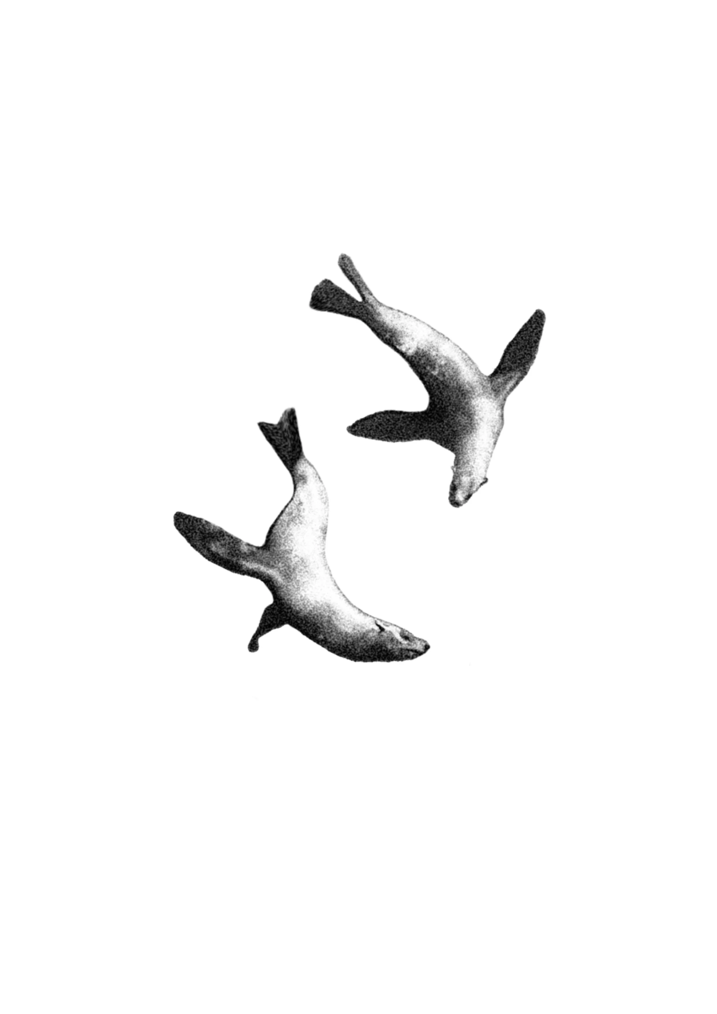 Cuba_Dupa__March_Flash 2.JPG