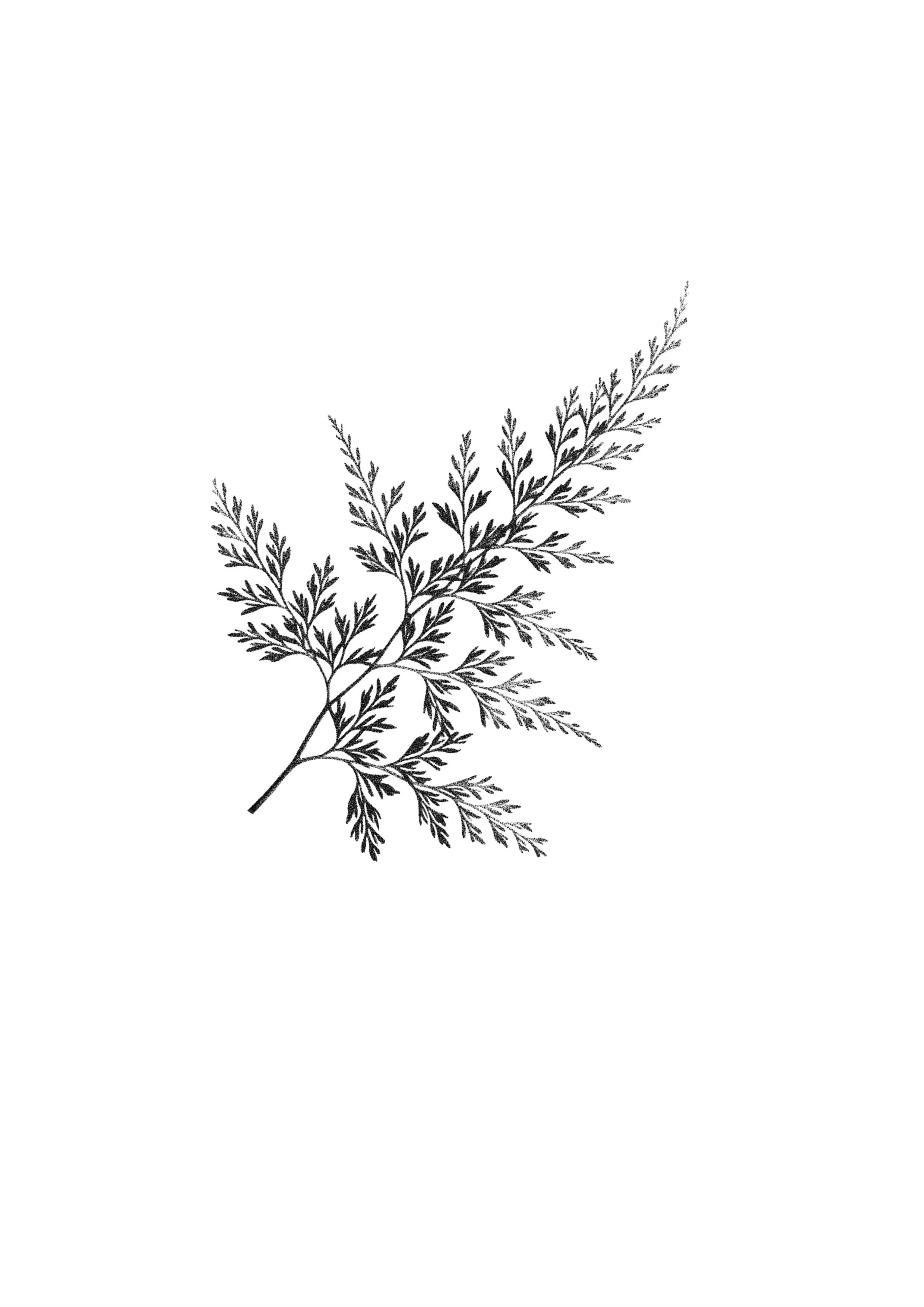 Open_Road_Summer_Flash_Day 2.JPG